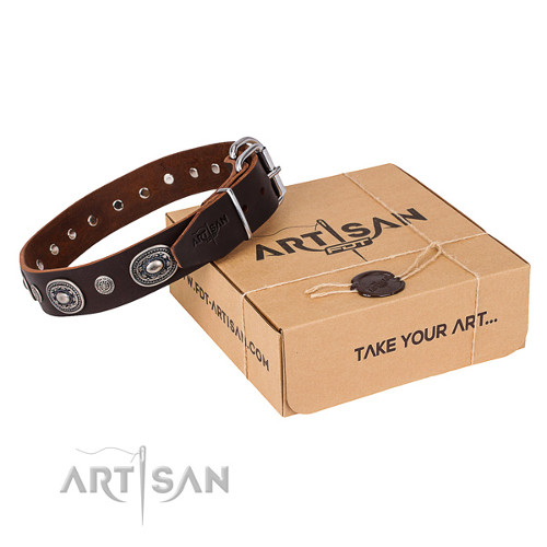Fancy Leather Dog Collars for Walking and Training