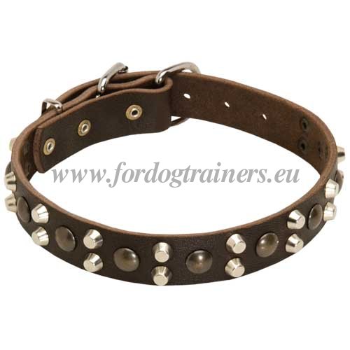 Black Leather Dog Collar with Studs for Walks