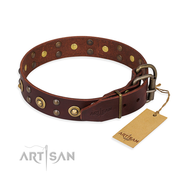 Wide Brown Leather Dog Collar for Walking
