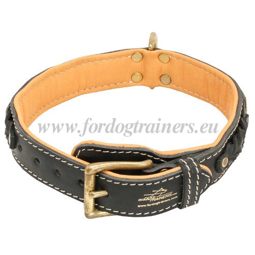 Soft Dog Collar with Padding