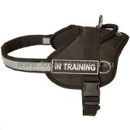 Harnais de traction pour chien sportif