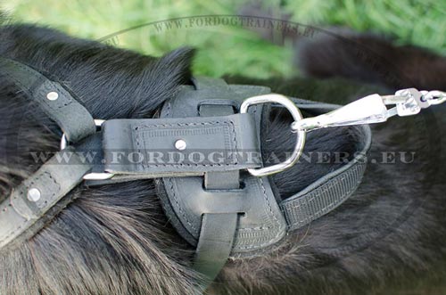 Leather dog harness for German Shepherd with handle
