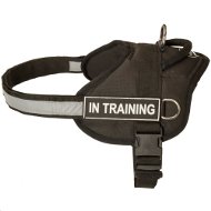 Vest for Dog Training