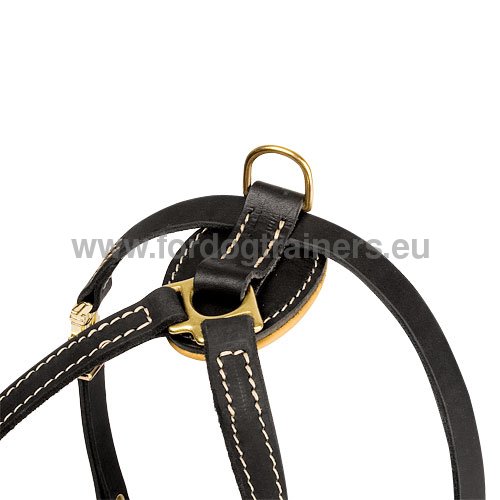 Handcrafted Leather Harness