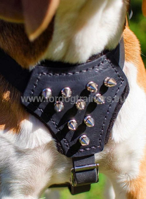 Spiked Dog Harness