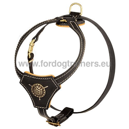 Puppy Leather Harness with Padding