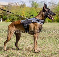 Nylon Outdoor Dog Harness for Tracking with Extra Handle