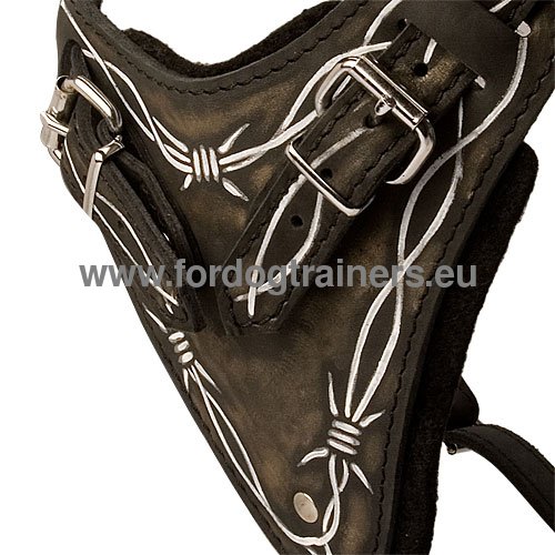 Painted Harness for Husky Walking and Training