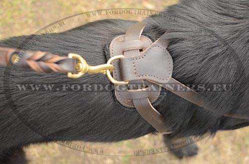 Multifunctional leather dog harness best convenient for GSD