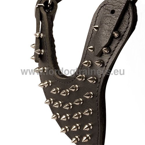 Leather dog harness with decorative spikes