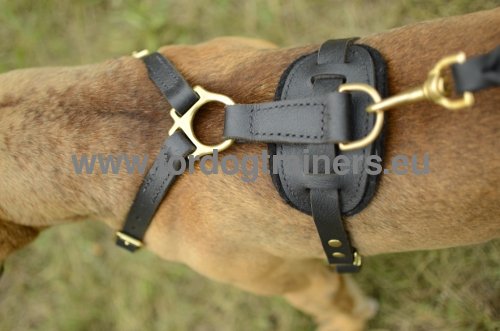 Leather Dog Harness for Pitbull