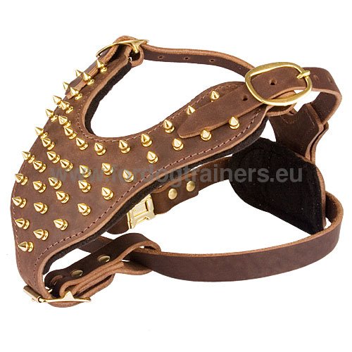 Genuine leather spiked dog harness for German Shepherd