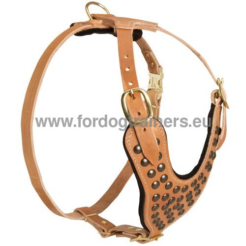 Tan Dog Harness for Walking and Training