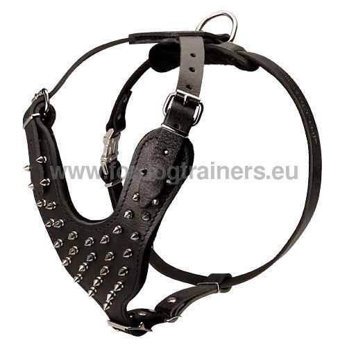 Walking harness for Pitbull spikes in nickel