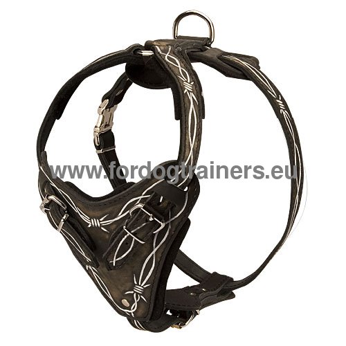 Walking Harness Genuine Leather Painted for Husky and
Akita Harness for Husky Painted Leather