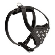 Spiked Harness for French Bulldog