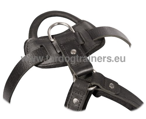 Felt-padded Dog Harness with Steel Hardware