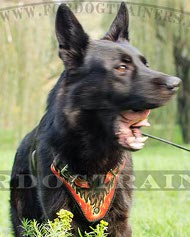 Ledergeschirr im Flamme Design fr Deutschen Schferhund