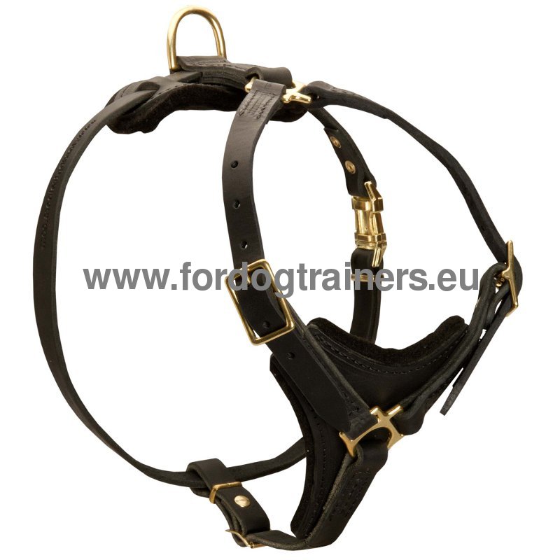 harnais en différentes tailles et couleurs fait à la main en Italie XXS, noir Pupakiotti Basic Harnais ergonomique et réglable en cuir véritable pour chien 