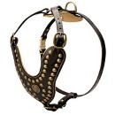 Padded Dog Harness Royal | Studded Harness 2023 ♕ [H11##1057 Pettorina esclusiva in pelle per cani grandi]