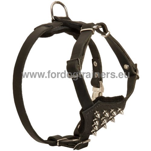 Soft Leather Harness