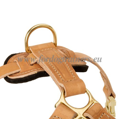 Harnais en cuir facilement rglable pour chien