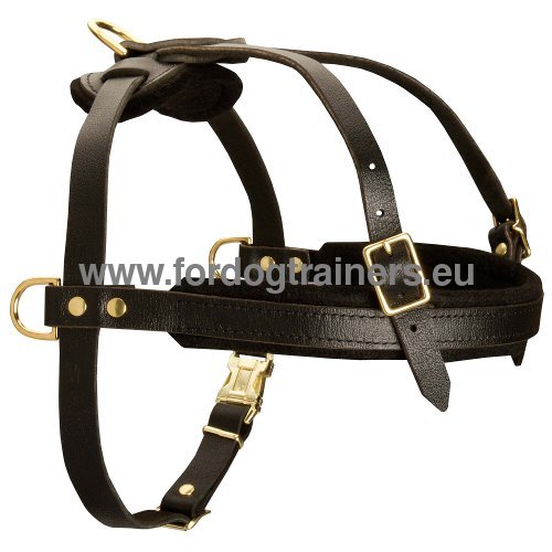 Harnais lger en cuir pour Rottweiler