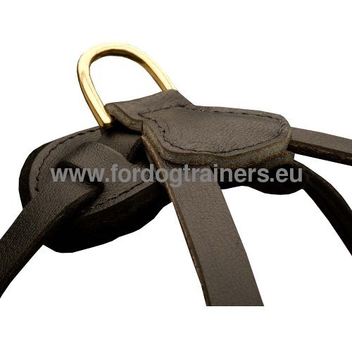 Pulling Dog Harness