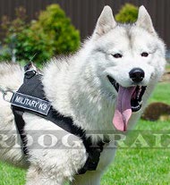 Tracking Harness in Nylon for Husky and Akita ⚑ [H17##1057 Pettorina in nylon da pulling per Husky]