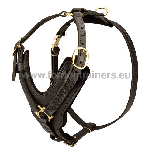 Agitation Leather Harness Decorative for Great Dane