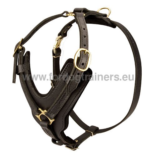 Universal Harness for Husky