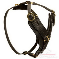 Agitation Leather Dog Harness