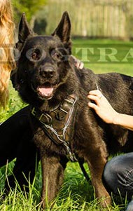 Durable painted leather harness for German Shepherd