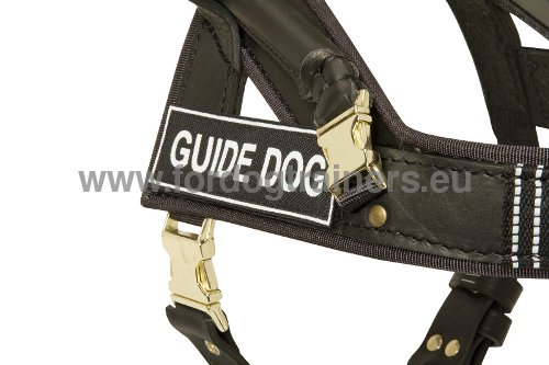 Special Harness for Assistance Dogs 