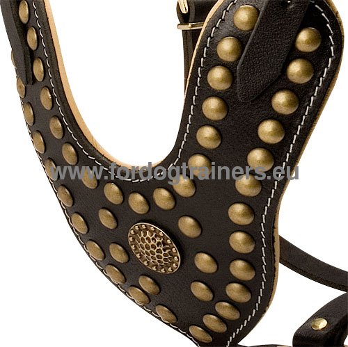 Leather dog harness with studs and nappa padding for Great Dane