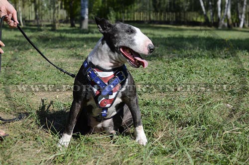 Dog Harness Adjustable