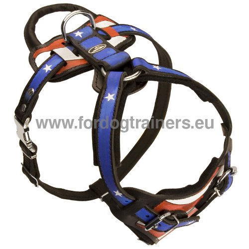 Classy Leather Dog Harness