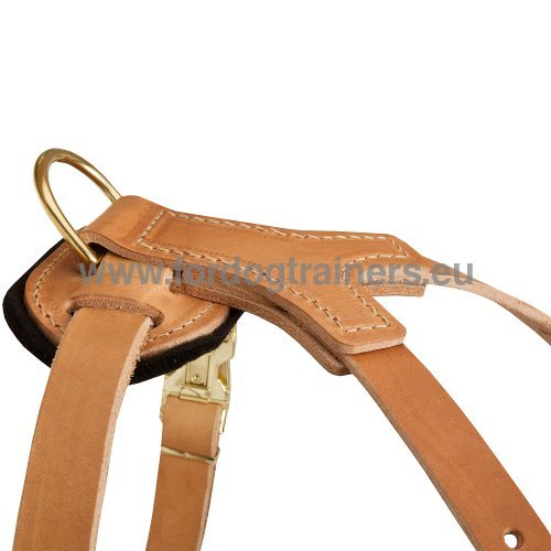 Dog Harness with Adjustable Straps