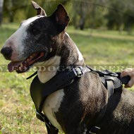 Nuevo arnes de cuero para perros, arnes de agitacion