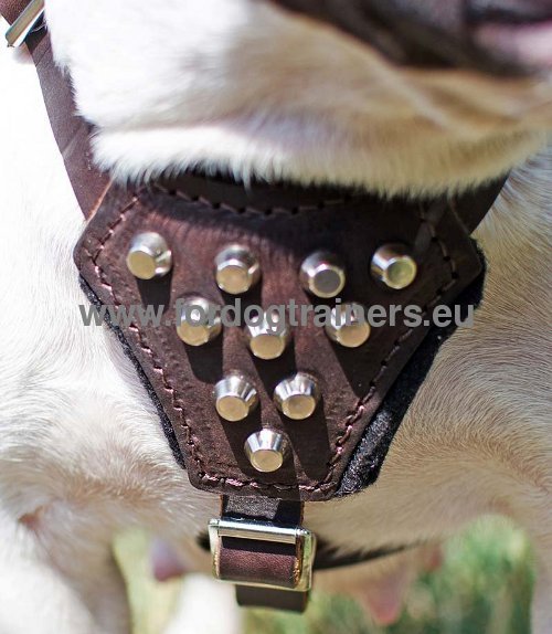 Harnais en cuir pour chien de taille petite ou moyenne