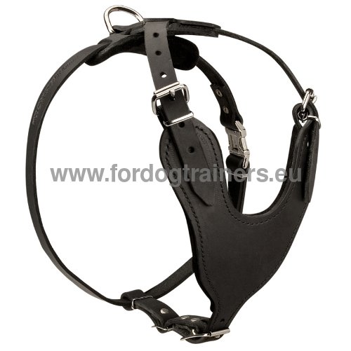 Agitation Dog Harness