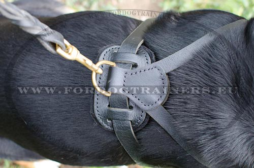 Dog Harness with Quick Release Buckle