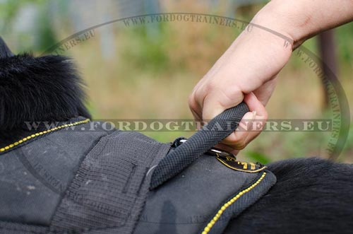 Harnais imperméable pour Bouvier
suisse