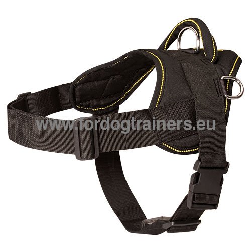 Nylon harness for numerous
activities for Pitbull