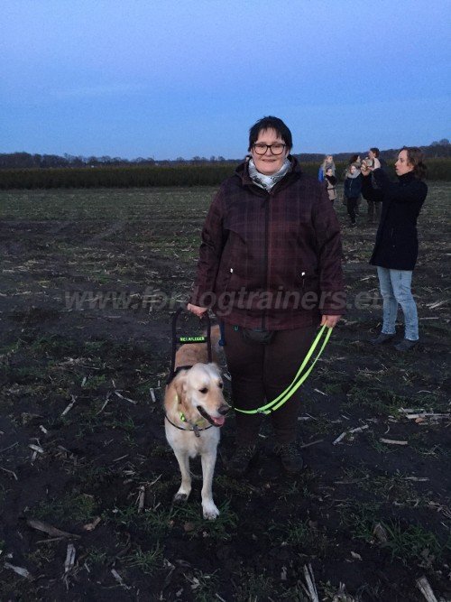 Harnais en polyester et plastique pour chien guide