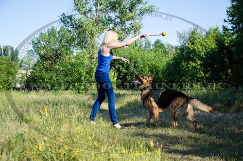 Solid and Comfortable Nylon Harness for German Shepherd