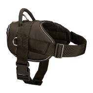 Dog Harness Lightweight | Pulling / Tracking Harness ◆ [H6###1057 Pettorina da lavoro in nylon per cane]