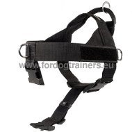 Arns nylon de paseos, perros de servicio