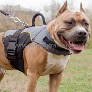 Amstaff Nylon Buiten Honden Tuig voor Opsporen met Extra Handvat