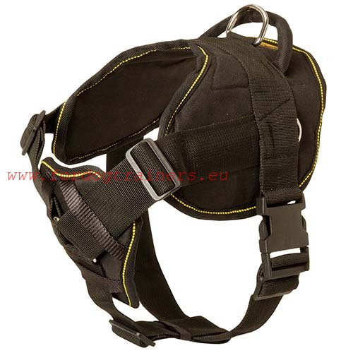 Nylon harness with handle for Akita